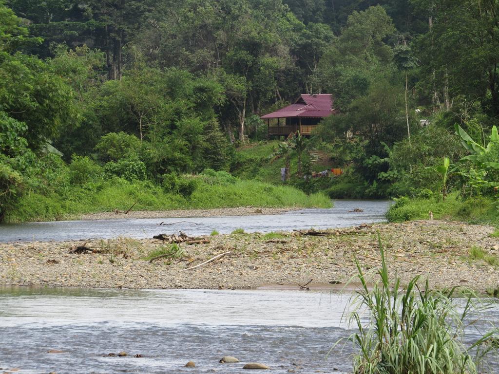 Batu Kapal Jungle Houses Hotel Berastagi Room photo
